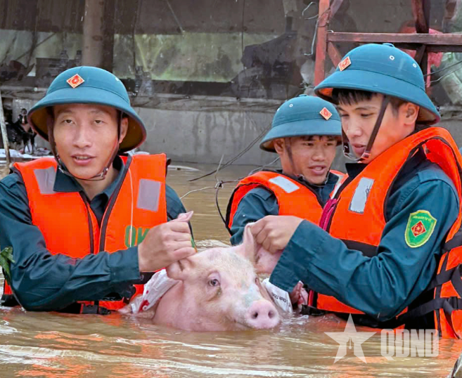 LLVT bám địa bàn, giúp dân trong mưa lũ